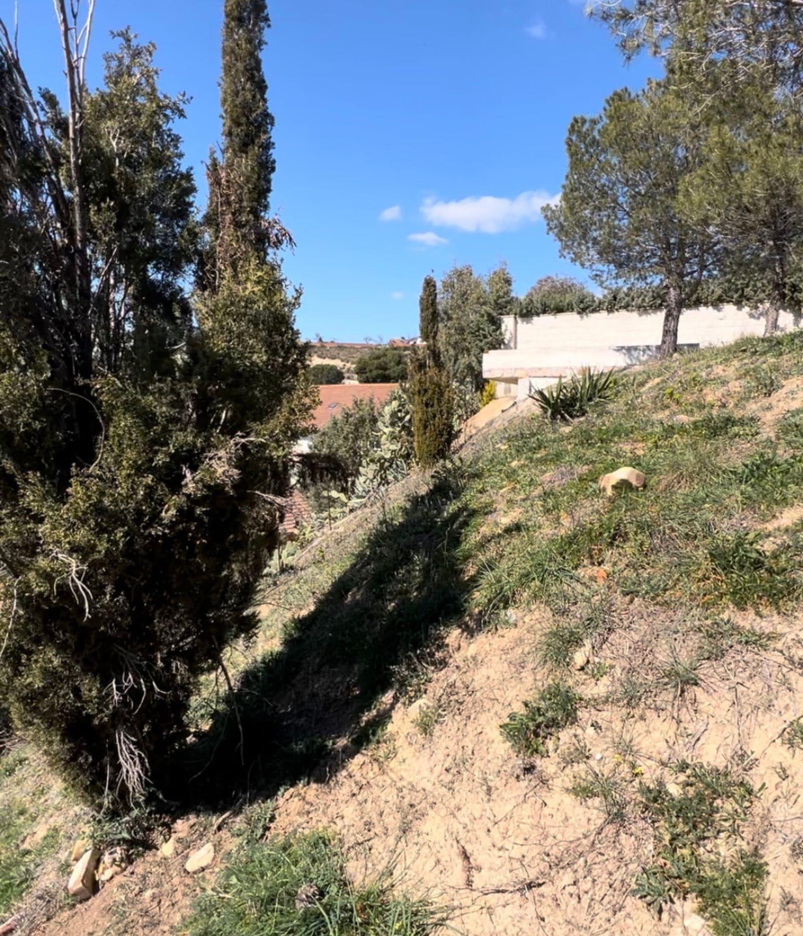 Vivienda de obra nueva Madrid